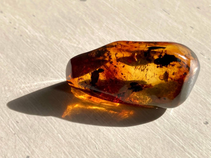 Amber Specimen (Rare Red Mayan Amber)