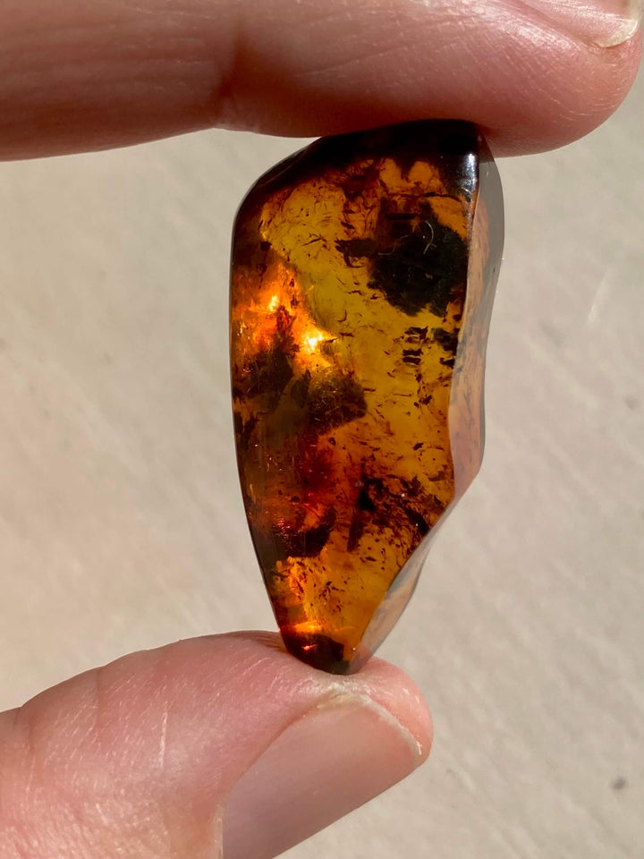 Amber Specimen (Rare Red Mayan Amber)