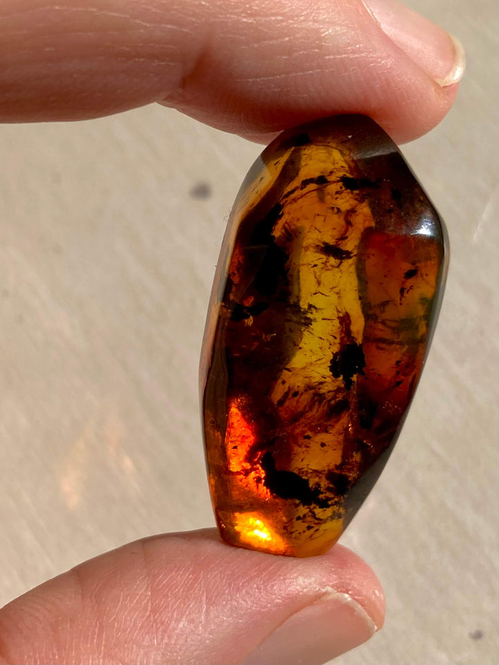 Amber Specimen (Rare Red Mayan Amber)