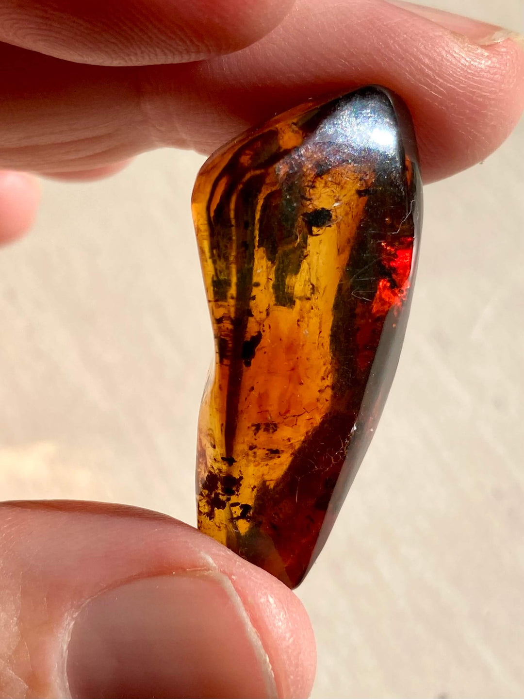 Amber Specimen (Rare Red Mayan Amber)