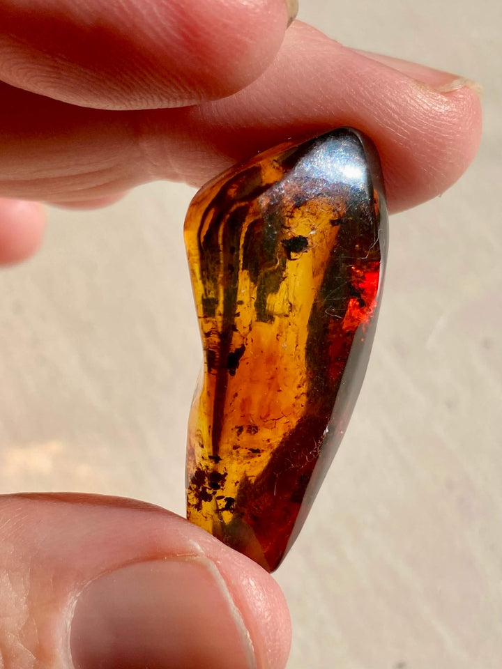 Amber Specimen (Rare Red Mayan Amber)