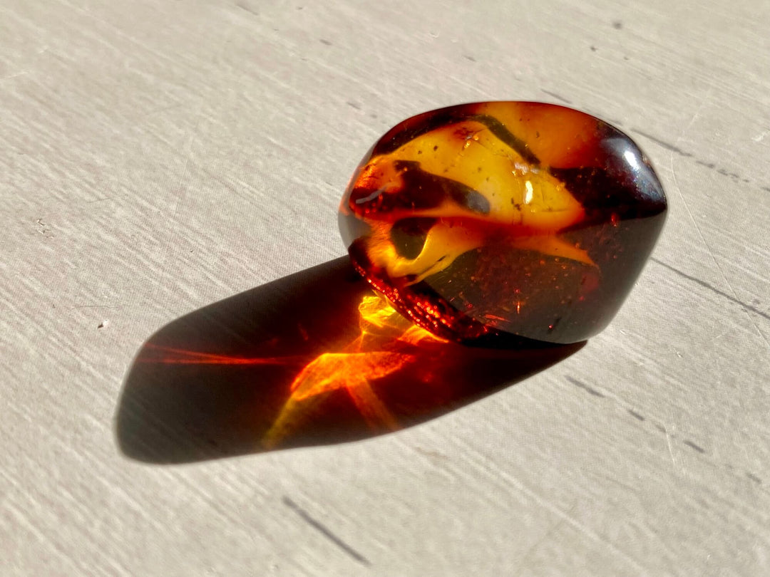 Amber Specimen (Rare Red Mayan Amber)