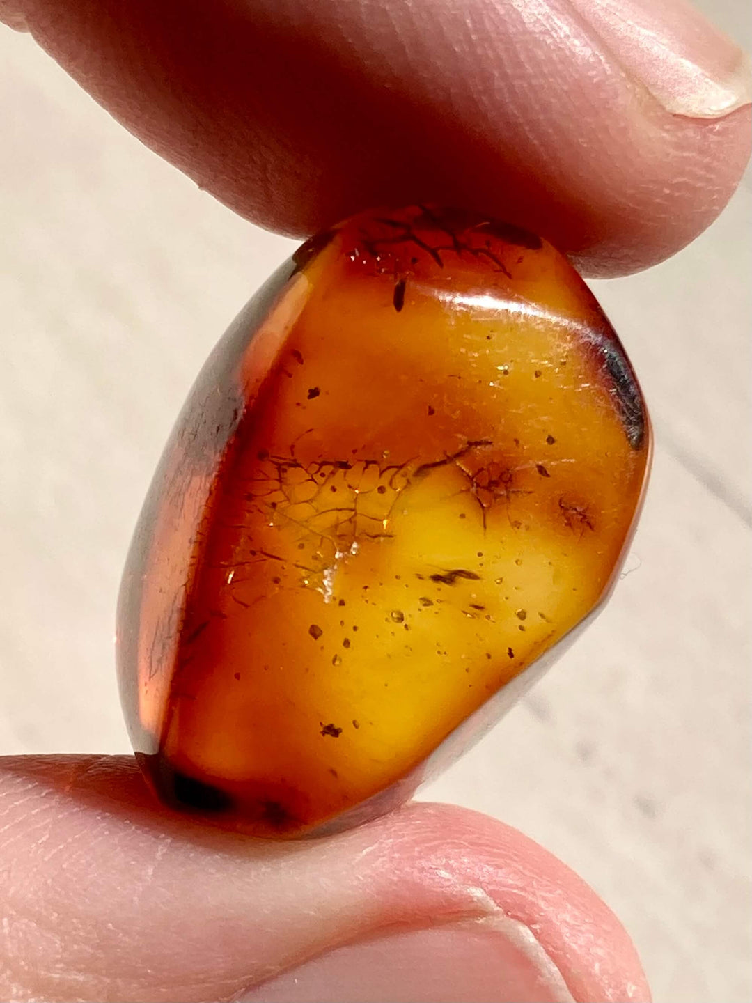 Amber Specimen (Rare Red Mayan Amber)