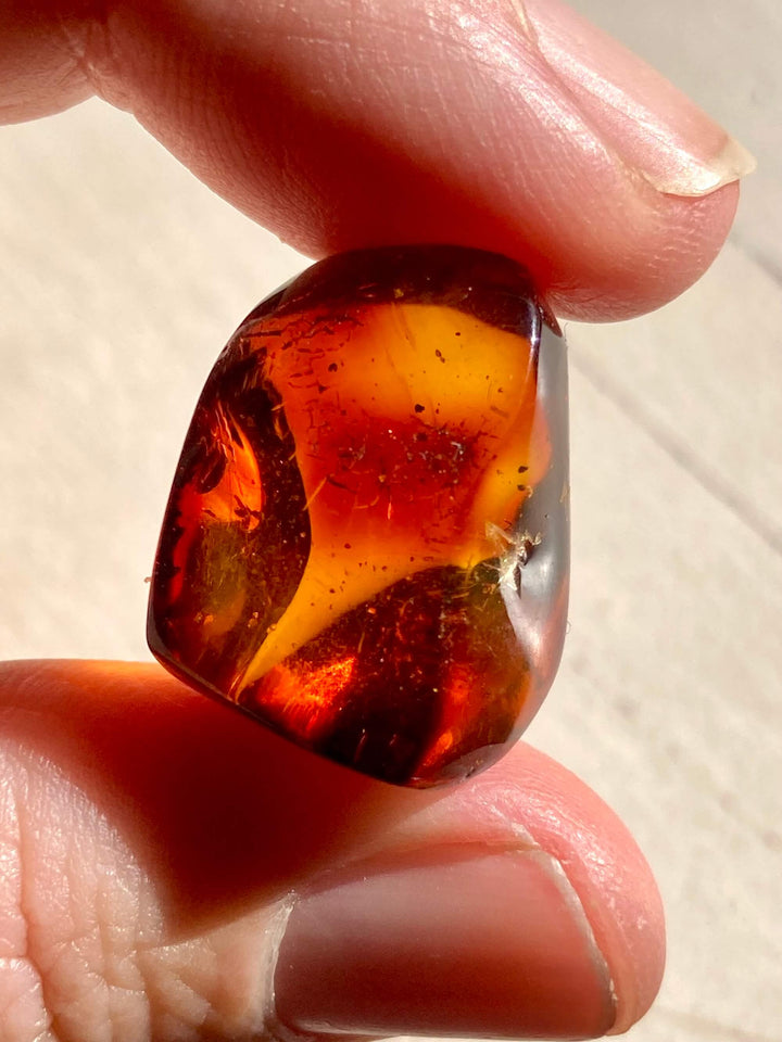 Amber Specimen (Rare Red Mayan Amber)