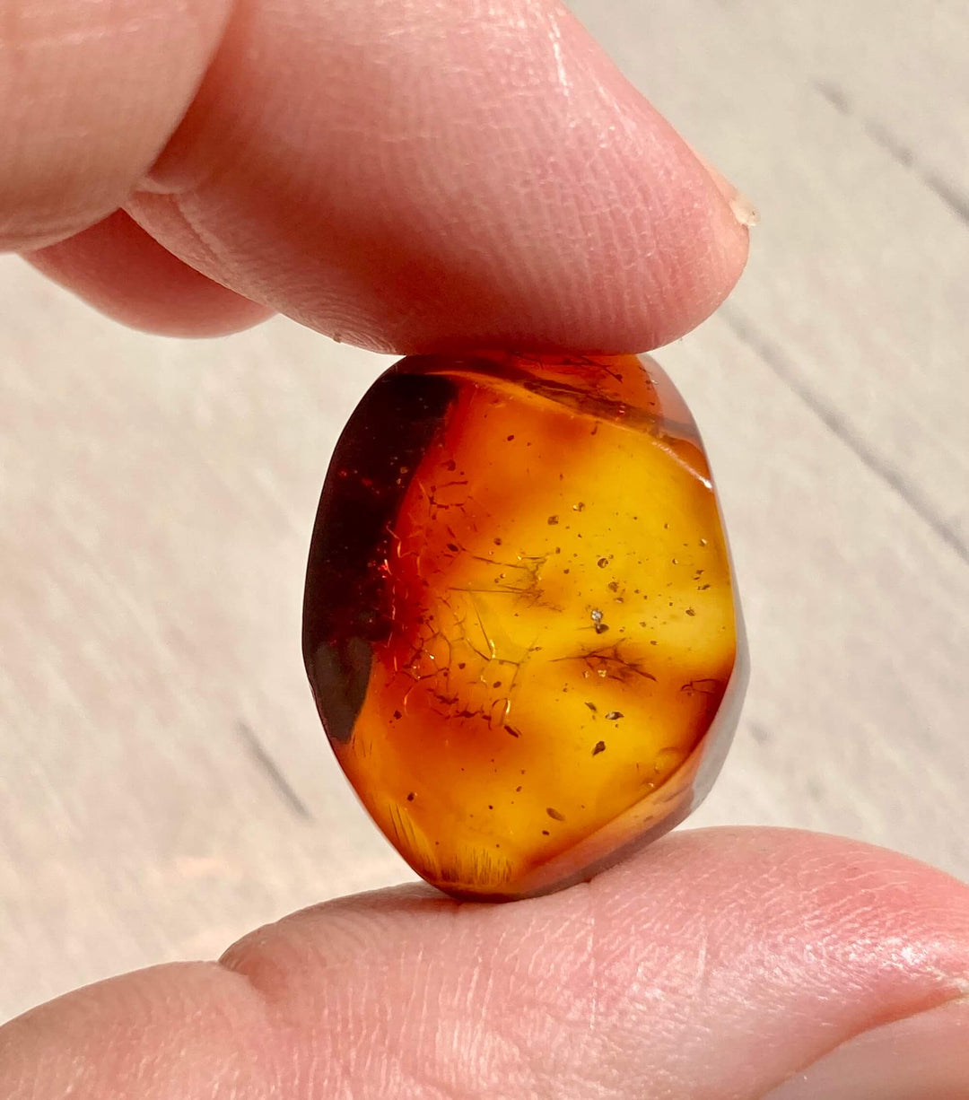 Amber Specimen (Rare Red Mayan Amber)