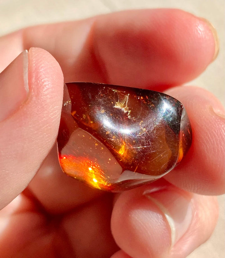 Amber Specimen (Rare Red Mayan Amber)