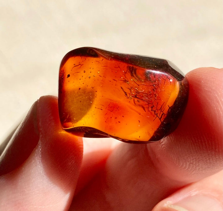 Amber Specimen (Rare Red Mayan Amber)