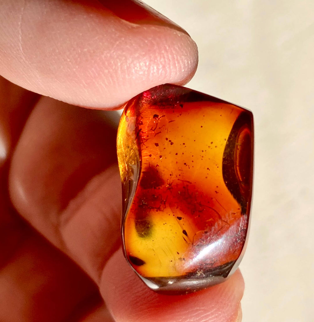 Amber Specimen (Rare Red Mayan Amber)